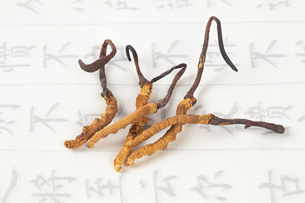 一年级四季教学设计