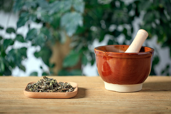 劳动合同标准版范本_劳动合同标准版