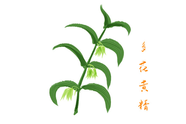 驾校业务员辞职报告_业务员的辞职报告