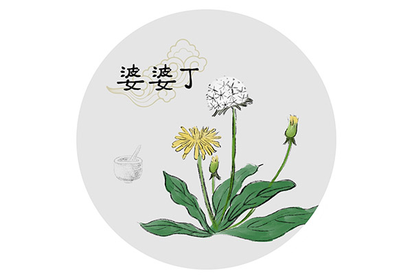 八年级下册生物工作计划(八年级生物下学期的工作总结)