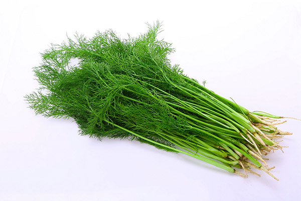 为孩子上学租房合同_孩子上学用租房合同范本