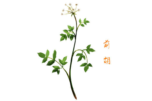 财务试用期工作总结怎么写_财务试用期工作总结