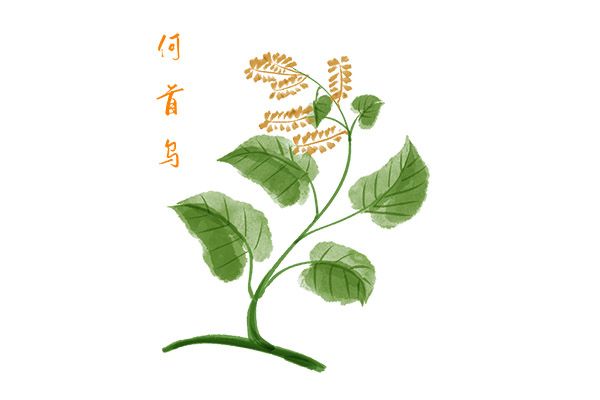 厨艺大赛策划书_厨艺大赛策划书经费预算