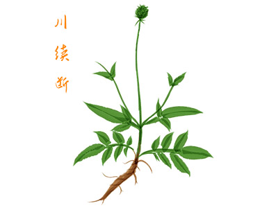 冷库租赁合同的(冷库租赁的合同一般包含哪些条款)